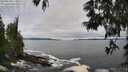 ./images/koeye/fitz-hugh/20250604/fitz-hugh20250604_111010M.jpg