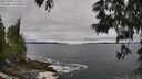 ./images/koeye/fitz-hugh/20250604/fitz-hugh20250604_113011M.jpg