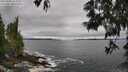 ./images/koeye/fitz-hugh/20250604/fitz-hugh20250604_113510M.jpg