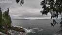 ./images/koeye/fitz-hugh/20250604/fitz-hugh20250604_114511M.jpg
