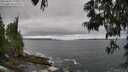 ./images/koeye/fitz-hugh/20250604/fitz-hugh20250604_115008M.jpg