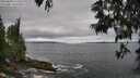 ./images/koeye/fitz-hugh/20250604/fitz-hugh20250604_115508M.jpg
