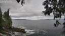 ./images/koeye/fitz-hugh/20250604/fitz-hugh20250604_120012M.jpg