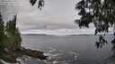 ./images/koeye/fitz-hugh/20250604/fitz-hugh20250604_120508M.jpg