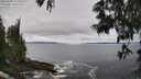 ./images/koeye/fitz-hugh/20250604/fitz-hugh20250604_121010M.jpg