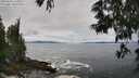 ./images/koeye/fitz-hugh/20250604/fitz-hugh20250604_122010M.jpg