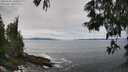 ./images/koeye/fitz-hugh/20250604/fitz-hugh20250604_122509M.jpg