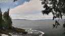 ./images/koeye/fitz-hugh/20250604/fitz-hugh20250604_124510M.jpg
