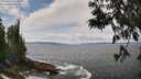 ./images/koeye/fitz-hugh/20250604/fitz-hugh20250604_125010M.jpg