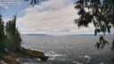 ./images/koeye/fitz-hugh/20250604/fitz-hugh20250604_130012M.jpg