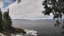 ./images/koeye/fitz-hugh/20250604/fitz-hugh20250604_131511M.jpg