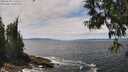 ./images/koeye/fitz-hugh/20250604/fitz-hugh20250604_132510M.jpg