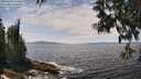 ./images/koeye/fitz-hugh/20250604/fitz-hugh20250604_134010M.jpg