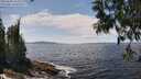 ./images/koeye/fitz-hugh/20250604/fitz-hugh20250604_134509M.jpg