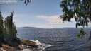 ./images/koeye/fitz-hugh/20250604/fitz-hugh20250604_135010M.jpg