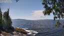 ./images/koeye/fitz-hugh/20250604/fitz-hugh20250604_135510M.jpg
