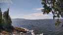 ./images/koeye/fitz-hugh/20250604/fitz-hugh20250604_140510M.jpg