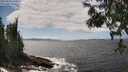 ./images/koeye/fitz-hugh/20250604/fitz-hugh20250604_142509M.jpg