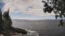./images/koeye/fitz-hugh/20250604/fitz-hugh20250604_143011M.jpg