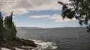 ./images/koeye/fitz-hugh/20250604/fitz-hugh20250604_143509M.jpg