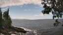 ./images/koeye/fitz-hugh/20250604/fitz-hugh20250604_145009M.jpg