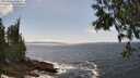 ./images/koeye/fitz-hugh/20250604/fitz-hugh20250604_150012M.jpg