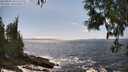 ./images/koeye/fitz-hugh/20250604/fitz-hugh20250604_150508M.jpg