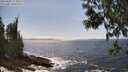 ./images/koeye/fitz-hugh/20250604/fitz-hugh20250604_151010M.jpg