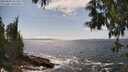 ./images/koeye/fitz-hugh/20250604/fitz-hugh20250604_151511M.jpg