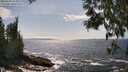 ./images/koeye/fitz-hugh/20250604/fitz-hugh20250604_154009M.jpg
