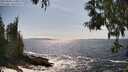 ./images/koeye/fitz-hugh/20250604/fitz-hugh20250604_160012M.jpg