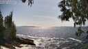 ./images/koeye/fitz-hugh/20250604/fitz-hugh20250604_161010M.jpg