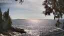 ./images/koeye/fitz-hugh/20250604/fitz-hugh20250604_164511M.jpg