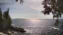 ./images/koeye/fitz-hugh/20250604/fitz-hugh20250604_165008M.jpg
