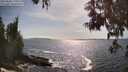 ./images/koeye/fitz-hugh/20250604/fitz-hugh20250604_170011M.jpg