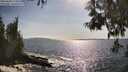 ./images/koeye/fitz-hugh/20250604/fitz-hugh20250604_172011M.jpg