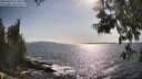 ./images/koeye/fitz-hugh/20250604/fitz-hugh20250604_173011M.jpg