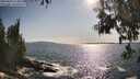 ./images/koeye/fitz-hugh/20250604/fitz-hugh20250604_174010M.jpg