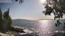 ./images/koeye/fitz-hugh/20250604/fitz-hugh20250604_175010M.jpg