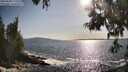 ./images/koeye/fitz-hugh/20250604/fitz-hugh20250604_175510M.jpg