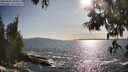 ./images/koeye/fitz-hugh/20250604/fitz-hugh20250604_180012M.jpg