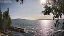 ./images/koeye/fitz-hugh/20250604/fitz-hugh20250604_180510M.jpg