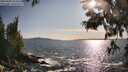 ./images/koeye/fitz-hugh/20250604/fitz-hugh20250604_182010M.jpg