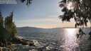 ./images/koeye/fitz-hugh/20250604/fitz-hugh20250604_184009M.jpg