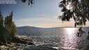 ./images/koeye/fitz-hugh/20250604/fitz-hugh20250604_184511M.jpg