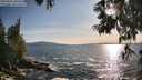 ./images/koeye/fitz-hugh/20250604/fitz-hugh20250604_185010M.jpg