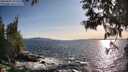 ./images/koeye/fitz-hugh/20250604/fitz-hugh20250604_191509M.jpg