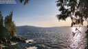 ./images/koeye/fitz-hugh/20250604/fitz-hugh20250604_193009M.jpg