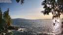 ./images/koeye/fitz-hugh/20250604/fitz-hugh20250604_194509M.jpg