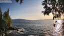 ./images/koeye/fitz-hugh/20250604/fitz-hugh20250604_195009M.jpg